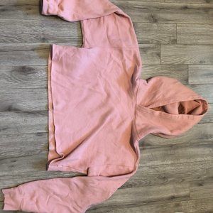 Aritzia Cropped Hoodie